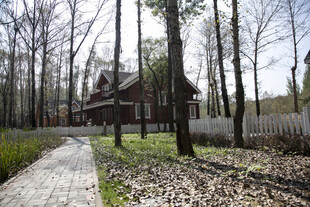 林间木屋 静谧自然景致