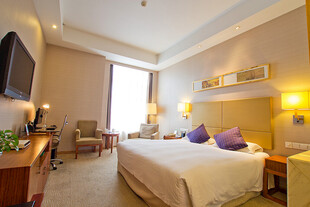 温馨舒适的酒店卧室场景