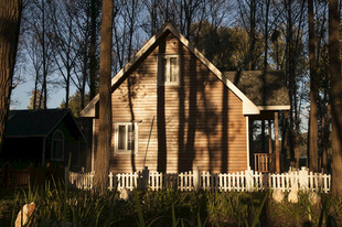 林间木屋 静谧的自然居所
