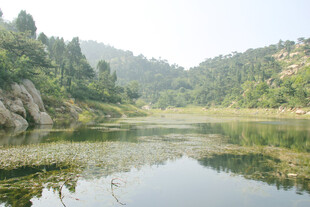 山间清湖 绿意盎然之景