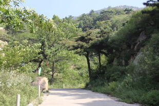 山间小道上的悠闲景象