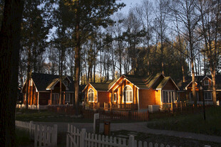 林间木屋 夕阳下的静谧景致