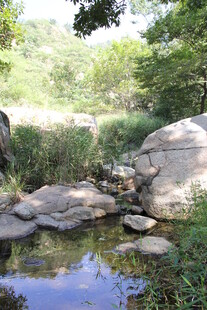 山间溪流旁的自然景致