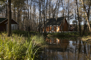 林间湖畔小屋 静谧风光