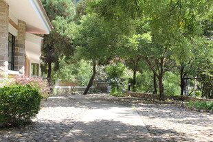 宁静庭院 绿树环绕的景致