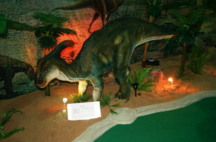 恐龙展览场景展示