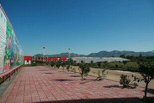 彩色墙旁的红砖步道景观