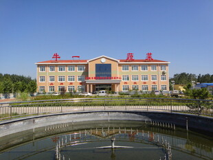 宏伟医院建筑及周边景观