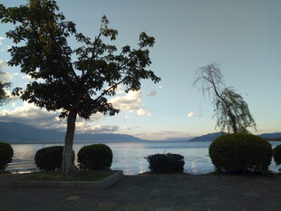 湖畔树影 静谧自然风光