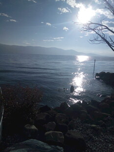 湖畔日光下的静谧景致