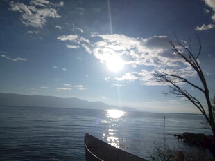 海边日落美景 孤枝映辉