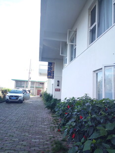 现代住宅旁绿植与车辆