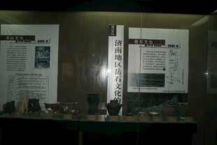 展示柜中的历史文献资料