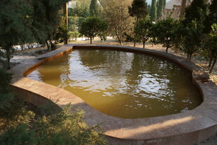 庭院中的静谧小池塘