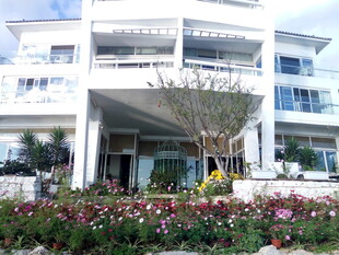 现代风格白色建筑与花卉