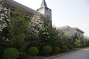 街道旁繁花簇拥的建筑