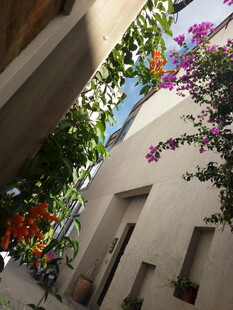 庭院绿植环绕的静谧角落