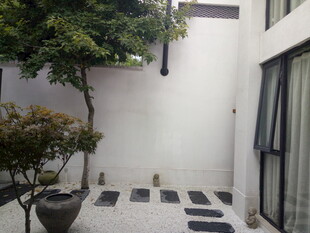 简约庭院一角景观