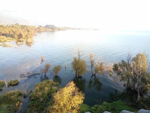 湖畔秋景 树木倒映于湖面