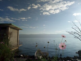 湖畔小屋旁的美丽景致