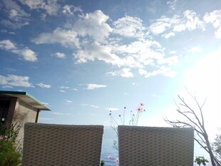 阳光下的户外休闲场景