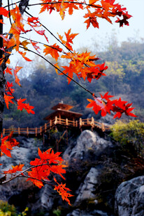 红叶掩映下的山间小屋