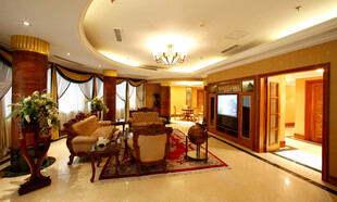 豪华客厅室内优雅场景