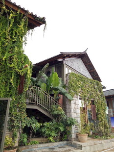 古宅爬满绿植的诗意景象