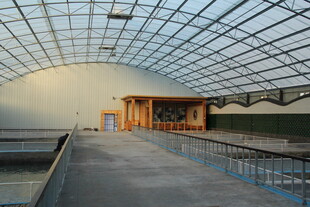 室内大型玻璃穹顶建筑空间