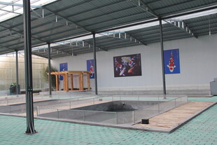 室内武术训练场地设施