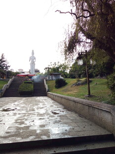 户外水景与远处建筑景观