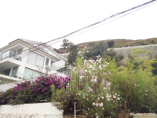 山间繁花环绕的精致住宅