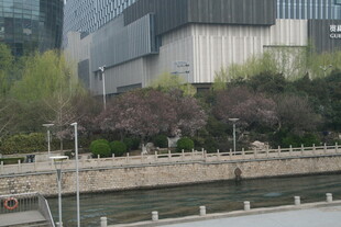 城市河畔现代建筑景观