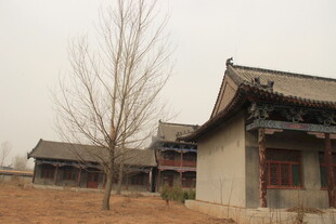 古朴中式建筑与枯树