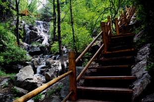 山林中的木质阶梯与瀑布