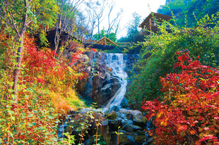 秋日山林中的绚丽瀑布