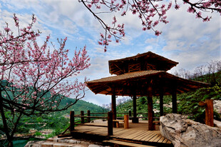 春日山间古亭美景