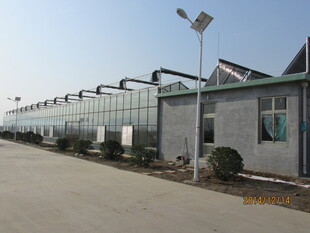 现代温室大棚外观