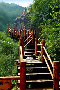 山间木质栈道蜿蜒入林