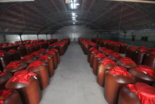 宽敞礼堂内整齐排列的座椅