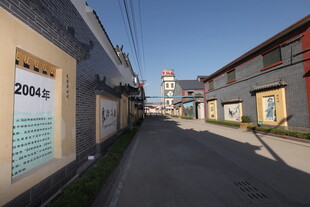 乡村街道旁的建筑景象