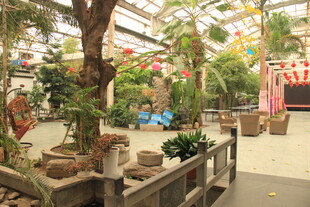 室内绿植景观布置展示