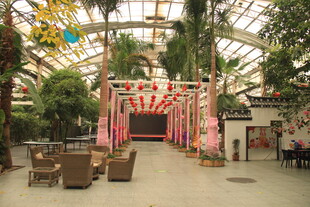 室内绿植装饰的休闲空间