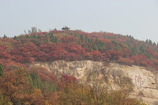 秋日山坡斑斓景致