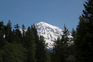 雪山屹立于葱郁森林间