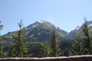 山间松林与远处雪山美景