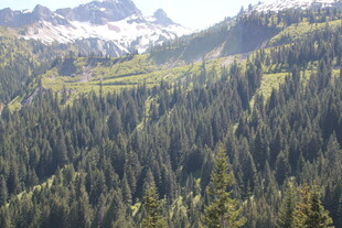 山林美景 绿意盎然的山脉