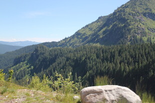 山间巨石旁的葱郁山林