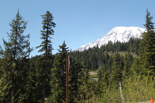 山林间的巍峨雪山