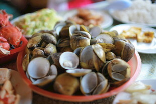 一碗鲜美的蛤蜊美食